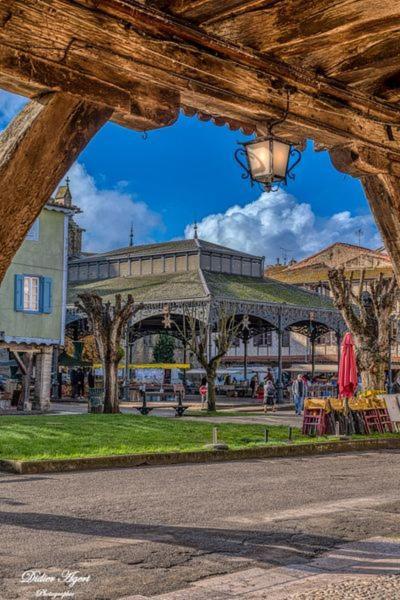 Superbe Plein Centre, Calme, Netflix Apartment Mirepoix (Ariege)